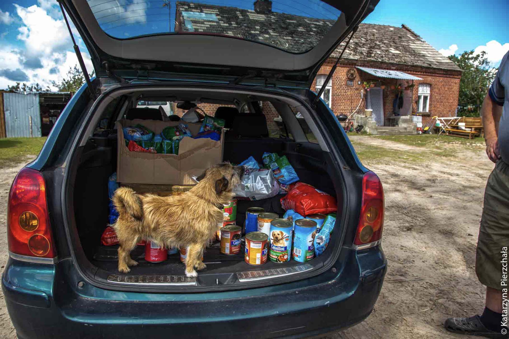 Kaszuby po nawałnicy