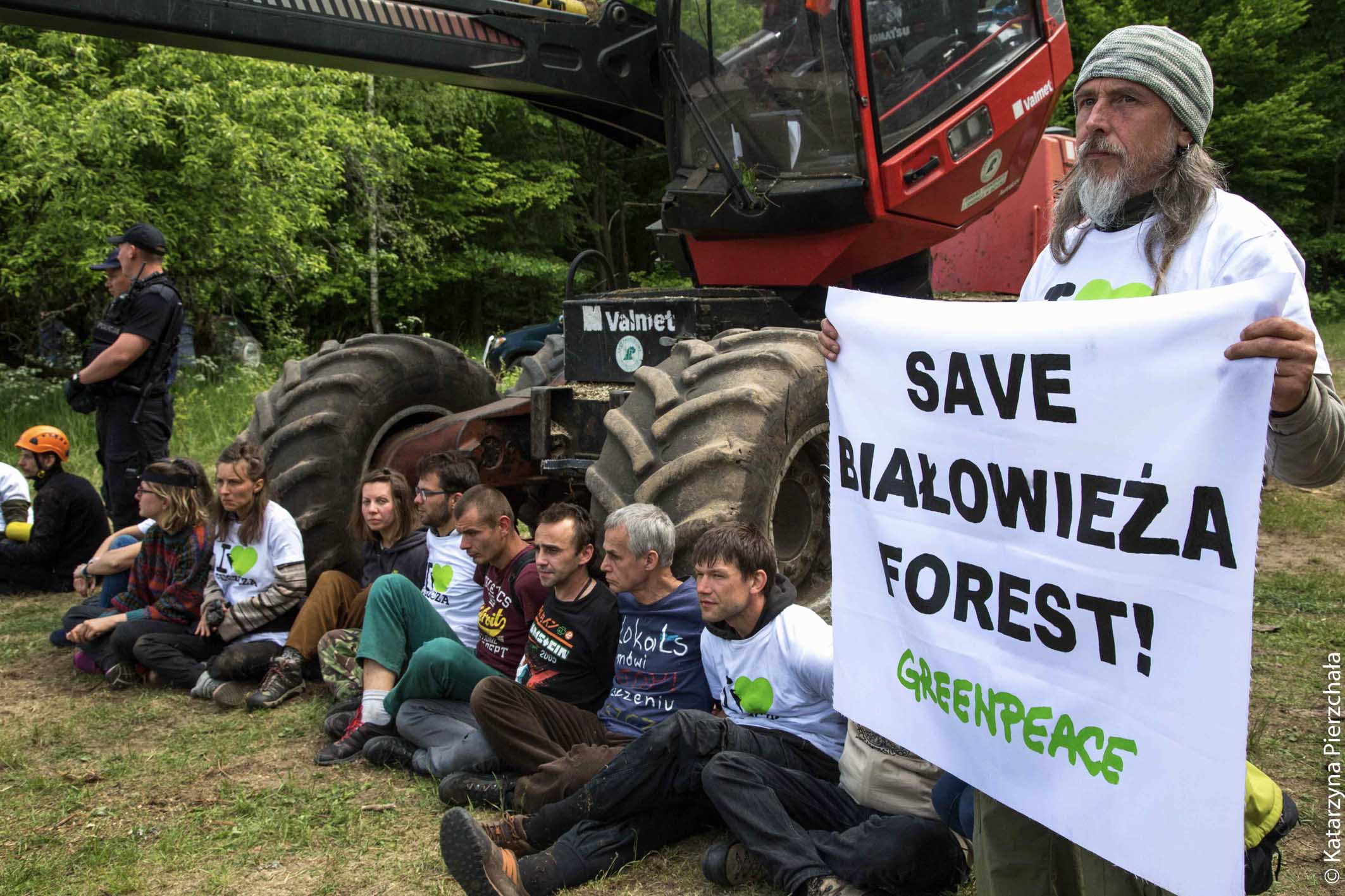 Save Białowieża Forest!