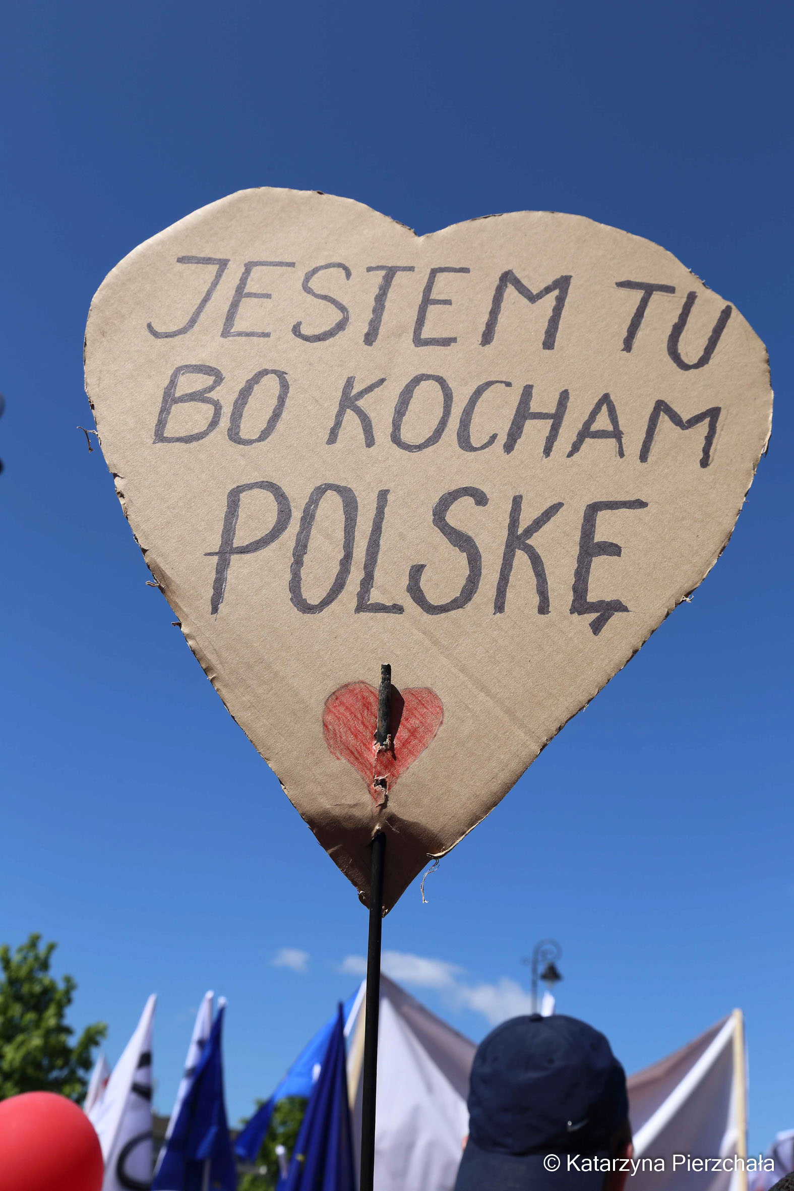 Manifestacja „Jesteśmy w Europie”