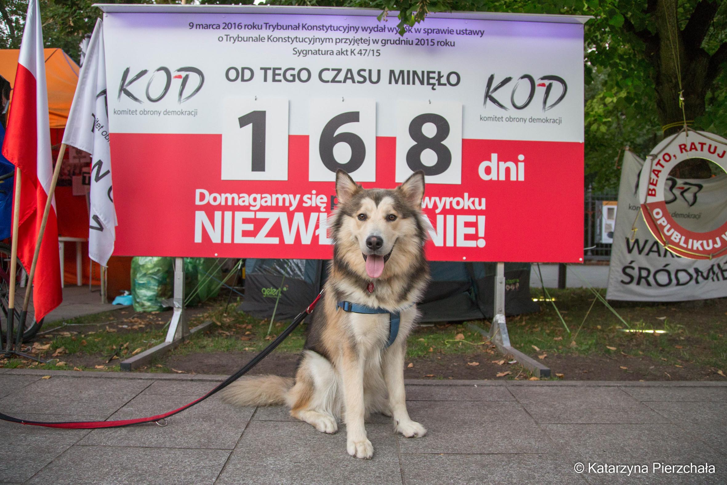 Licznik hańby przed KPRM